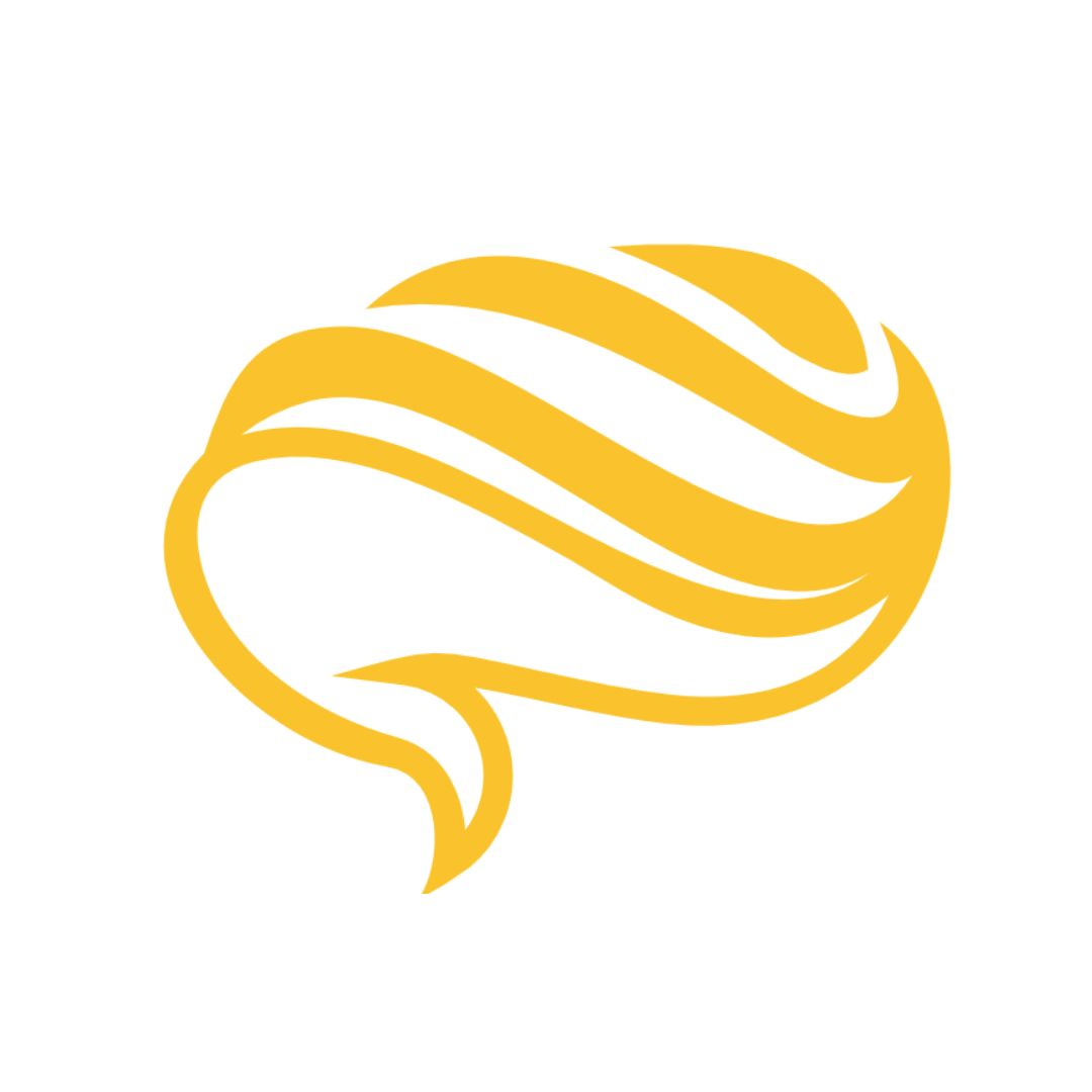 STUDYR Logo